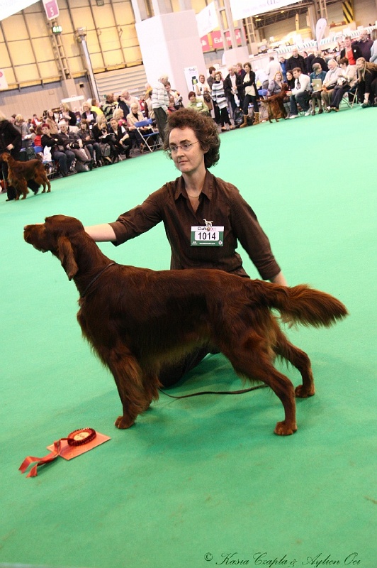 Crufts2011_2 117.jpg